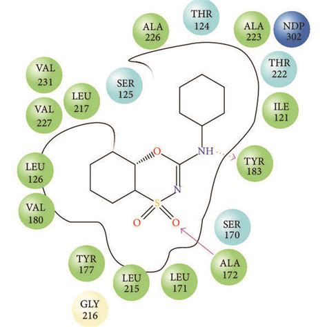 Binding Modes Of Native Ligand And TR 04 In The X Ray Crystal Structure