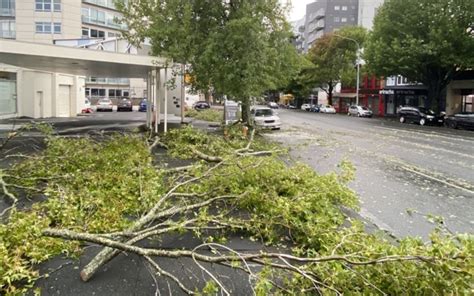 Widespread damage: Cyclone Gabrielle in pictures