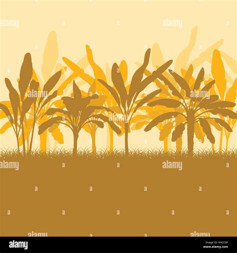 Raw Banana Tree Farm Field Vector Background Stock Vector Image And Art