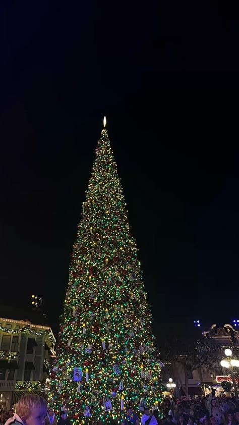 Christmas at Disneyland 🎄