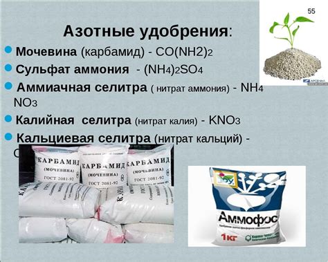 Калийные удобрения: их значение и применение, виды, инструкция, нужен ...