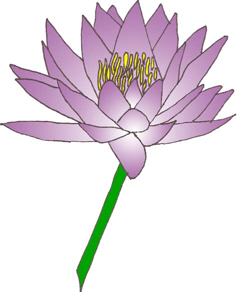 Flower lily water clipart - Clipground