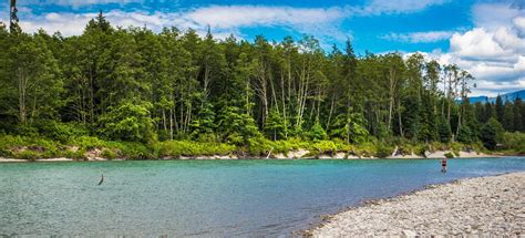Kitimat River Best Fly Fishing In Terrace