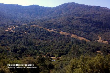 Haslett Basin Wildlife Preserve | Sierra Foothill Conservancy