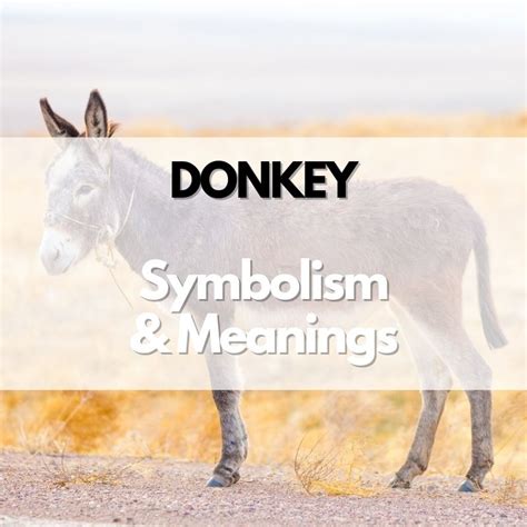 Donkey: Symbolism, Meanings, and History - Symbol Genie