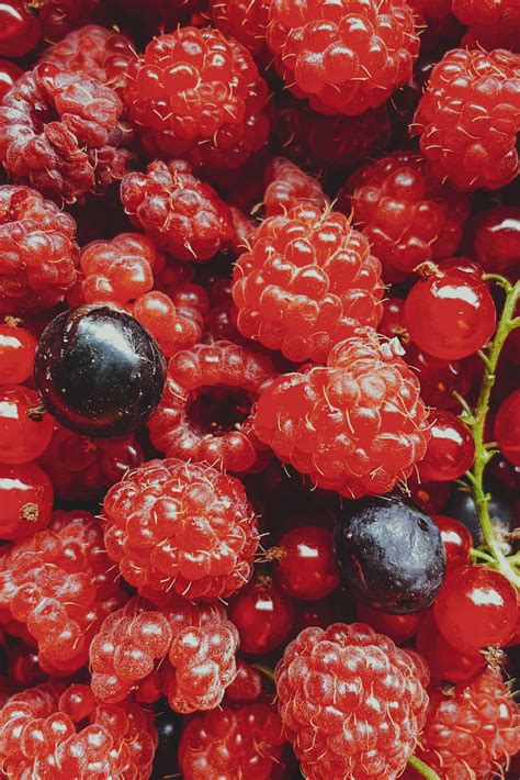 High Resolution Food Photos Download The Best Free High Resolution