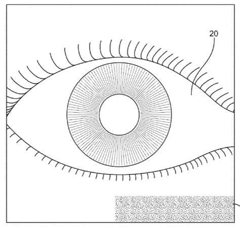 Magic Leap Patent Devices Methods And Systems For Biometric User