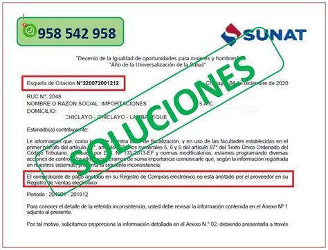 Sunat El Comprobante De Pago Anotado En Su Registro De Compras