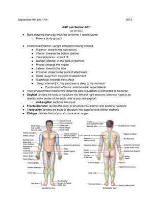 Ap Lab Manual Answers Anatomy And Physiology Lab Manual Version