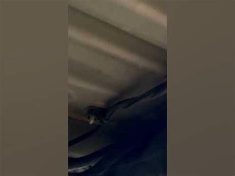 p code evaporative emission system vent control circuit open