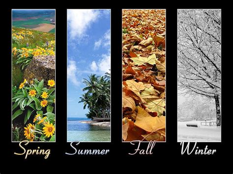 1920x1080px 1080p Free Download 4 Seasons Fall Summer Spring