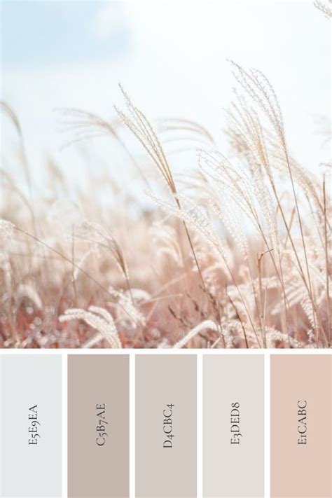 Nature Inspired Color Palettes Nature Color Palette Nature Inspiration Nude Color Palette