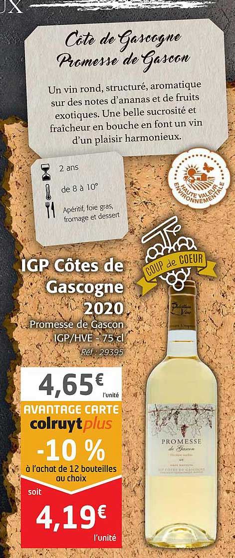 Promo Igp Côtes De Gascogne 2020 Promesse De Gascon chez Colruyt