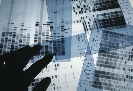 Dna Fingerprinting A Major Tool For Crime Investigation Dna