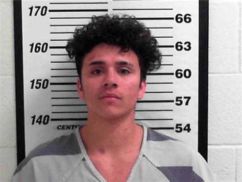 Porn Star Mugshots NSFW Zach Letoa