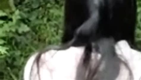 Neko Para Vol Scene Free Hd Porn Video A Xhamster