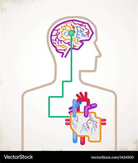 Brain and heart connected infographic Royalty Free Vector