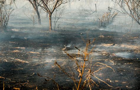 Reporte Oficial Por Los Incendios En Argentina Foco Activo En Victoria