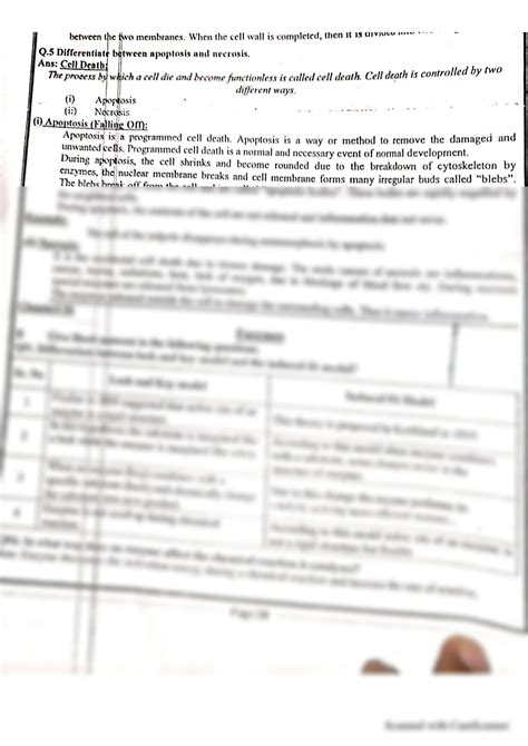 Solution Difference Apoptosis And Necrosis Biology Studypool