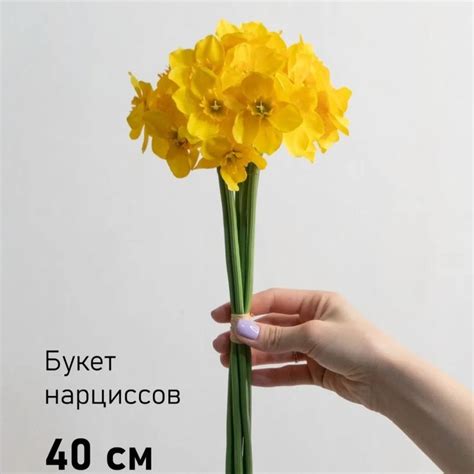 Нарциссы искусственные. Нарциссы.