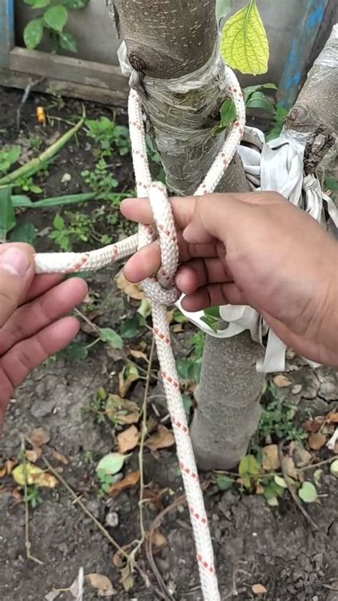 Essential Knots: How to Tie Rope Knots