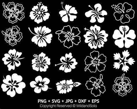 20 Hawaii Hibiscus Flower Svg Bundle Tropical Flower Svg Flowers