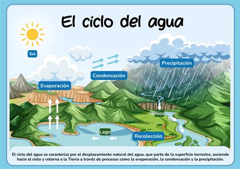 El Ciclo Del Agua