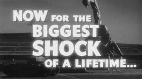 Vintage Peep Show Style Nude Print Packs Of NSFW Etsy Canada