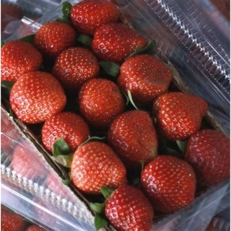 jual strawberry fresh pack buah strawberry fresh shopee indonesia