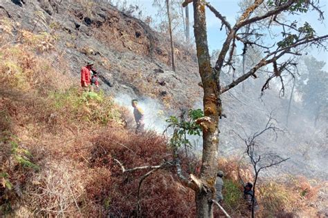 Tngr Titik Api Masih Terlihat Di Lahan Kebakaran Gunung Rinjani