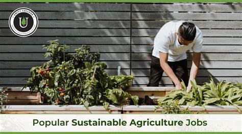 10 Popular Sustainable Agriculture Jobs Unity College