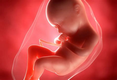 36 Weeks Pregnant Advice Symptoms And What To Expect Pregnancy