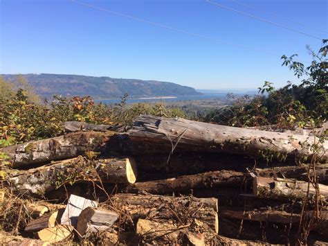 Hauling The Last Of The Wood For A While Firewood Hoarders Club