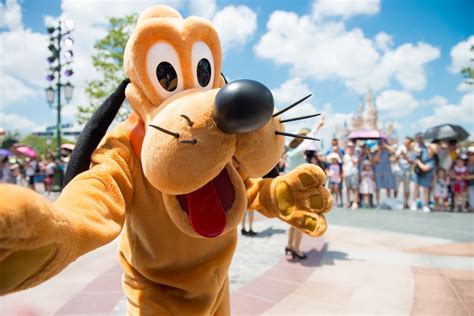selling  dvc membership     dvc resale