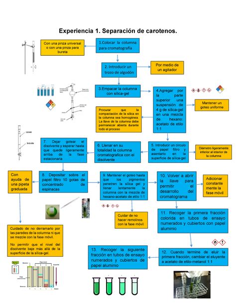 Experiencia Diagrama De Flujo Biotecnologia Vegetal Ipn Studocu