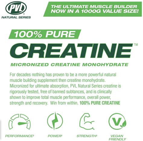 Pvl Creatine Monohydrate 1200g﻿ — Popeyes Supplements Kelowna