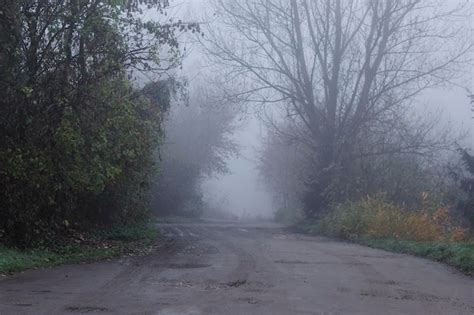 Premium Photo Misty Autumn Morning Park Path Naked Trees