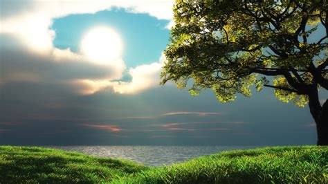 Wallpaper Sunlight Trees Landscape Sunset Sea Hill Nature