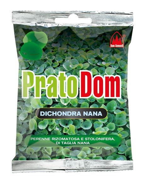 Dichondra Nana Prato Dom Sementi Per Tappeti Erbosi Dom Sementi