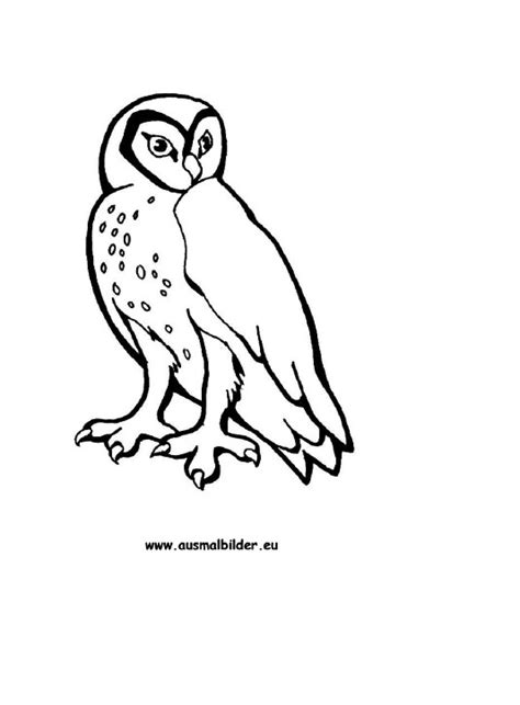 Ausmalbild Eule zum Ausdrucken