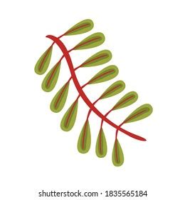 1,229 Pinnate Leaf Shape Images, Stock Photos & Vectors | Shutterstock