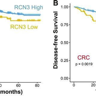 Survival Analysis A Association Between Rcn Expression And Overall