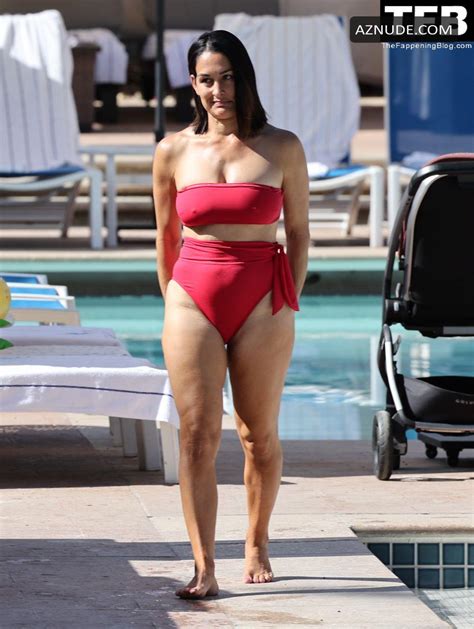 Nikki Bella Sexy Seen Flaunting Her Tits And Ass At The Beach In Indian Wells AZNude
