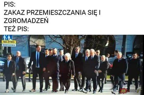 Jebać PIS