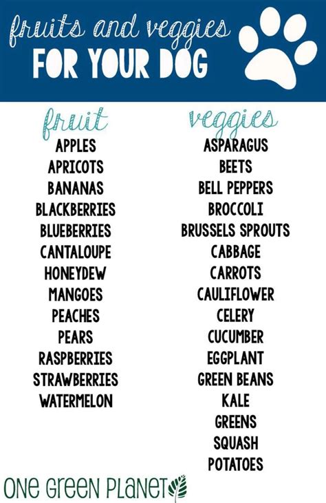 Fruits and veggies for your dog – Artofit