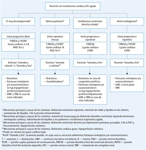 Insuficiencia cardíaca aguda formas y manejo preliminar ESC 2021