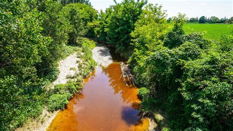 Inquinamento Del Torrente Coppa Chiuse Le Indagini Nei Guai Anche