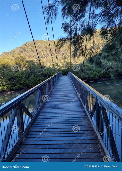 What to bring when visiting mangrove boardwalk wynnum 27