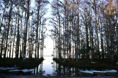 Florida Memory • Lake Lochloosa Viewed From The Carraway Fish Camp In