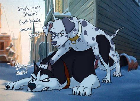 Rule Alaskan Malamute Anal Anal Sex Angry Balto Film Canid Canine Canis Chance